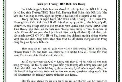 TÌNH CẢM CỦA TẬP THỂ CÁN BỘ, GIÁO VIÊN, NHÂN VIÊN, PHỤ HUYNH VÀ HỌC SINH TRƯỜNG THCS ĐINH TIÊN HOÀNG ĐÃ ĐẾN TAY HỌC SINH VÙNG LŨ